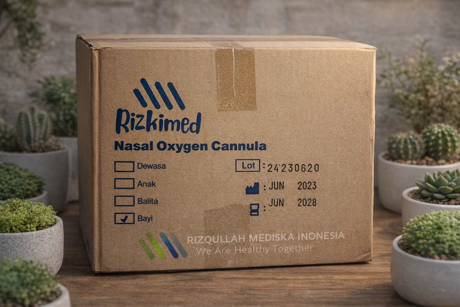 R-NOCBY BoxR-NOCBY.png