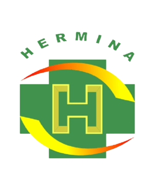 Hermina Hospital